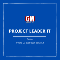 GM Servizi ! posizione aperta Project Leader IT