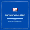 GM Servizi: posizione aperta Sistemista microsoft